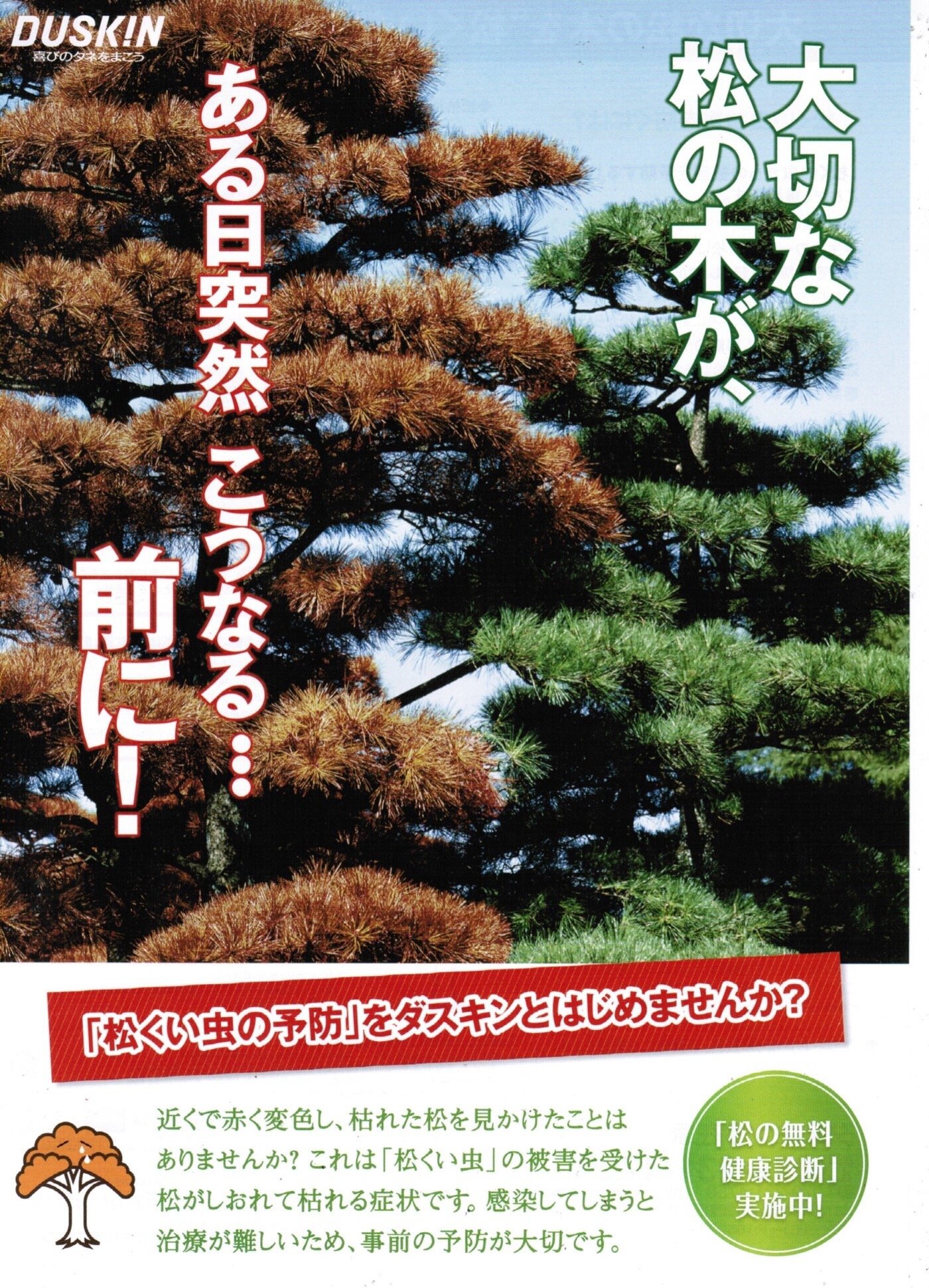 松くい虫予防サービス 庭木のお手入れ スタッフブログ ダスキンロイヤル