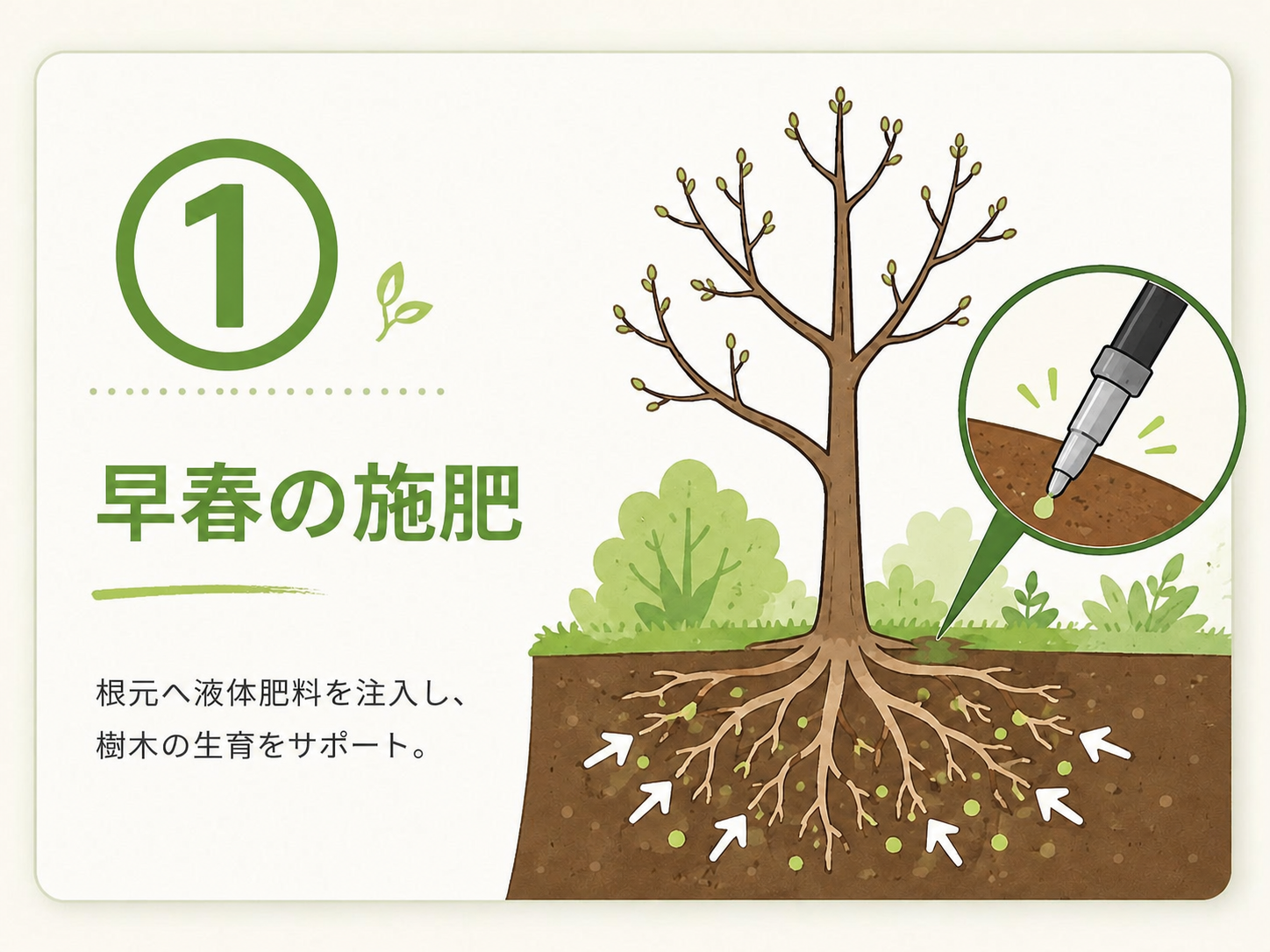 ① 早春の施肥のサービス内容を示すイラスト