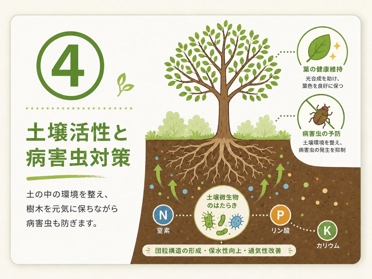 ④ 土壌活性と病害虫対策のサービス内容を示すイラスト