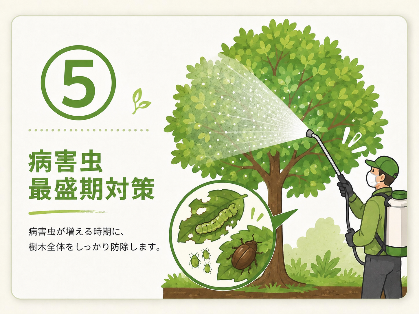 ⑤ 病害虫最盛期対策のサービス内容を示すイラスト