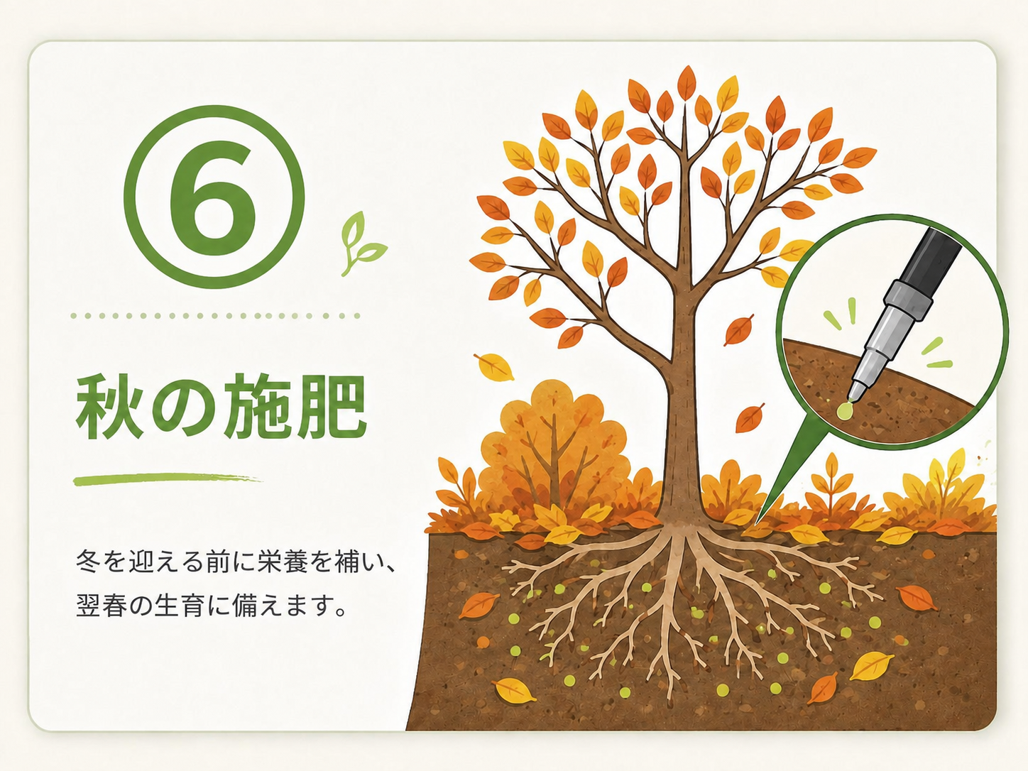⑥ 秋の施肥のサービス内容を示すイラスト