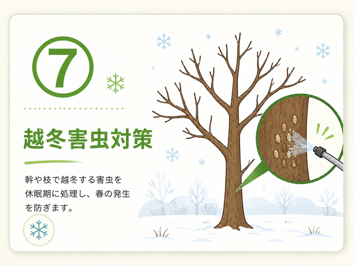 ⑦ 越冬害虫対策のサービス内容を示すイラスト