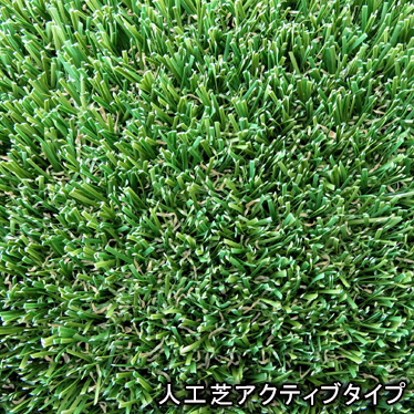 アクティブタイプ