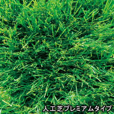 プレミアムタイプ
