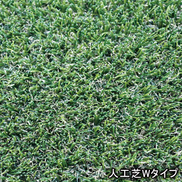 Wタイプ