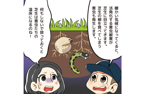 新芽の保護の説明