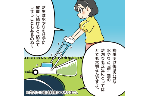 夏の施肥の説明