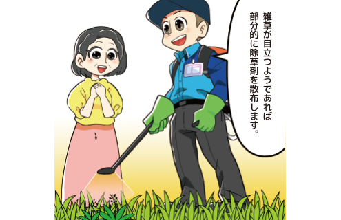 秋の施肥の説明
