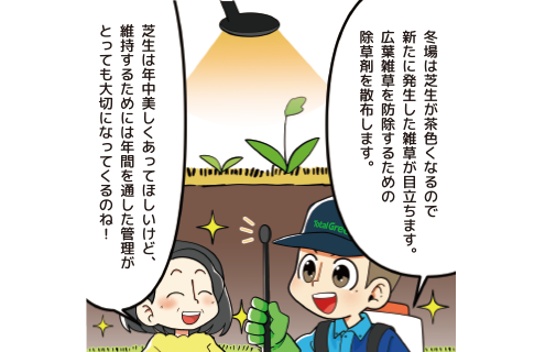 冬の雑草防除の説明