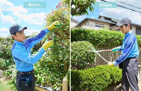 刈り込みばさみで庭木を整えるスタッフ