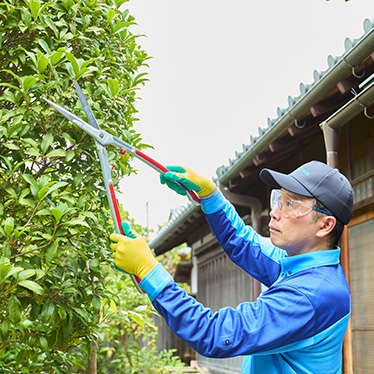軽剪定の作業写真