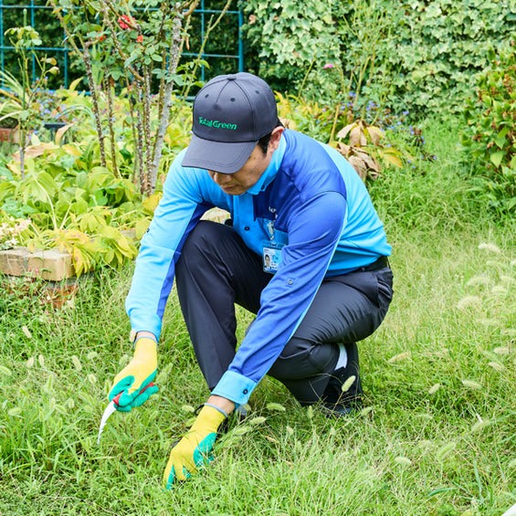 スタッフが草抜き鎌で雑草を抜く様子