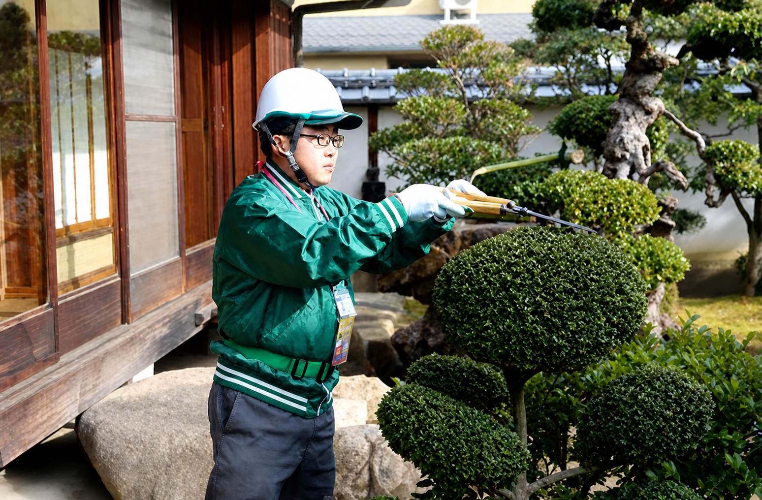 庭木の剪定