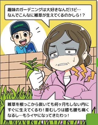 雑草が何度も生えて困っている様子
