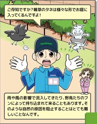 雑草の種がお庭に入ってくることを説明する様子