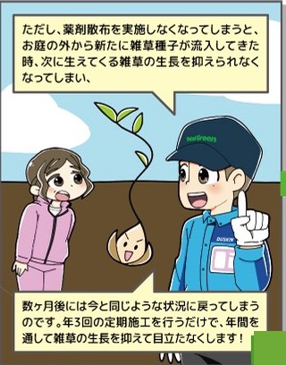 定期施工で雑草の生長を抑える説明